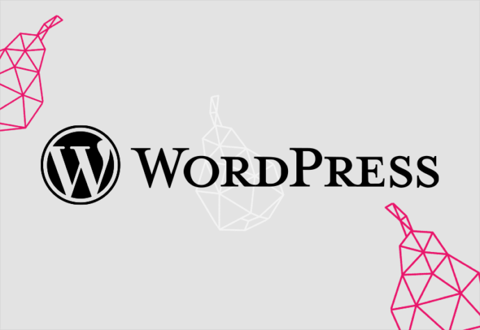 Pozycjonowanie WordPress – praktyczny poradnik