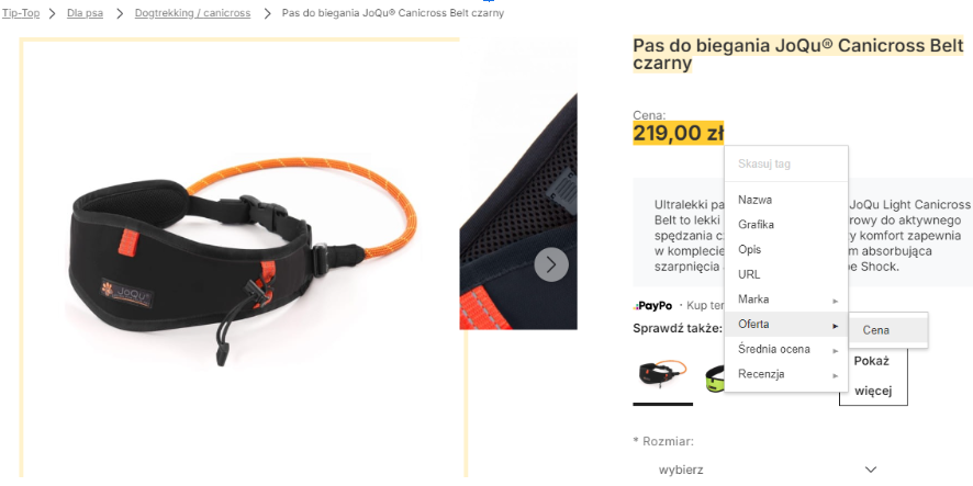 Oznaczanie danych w narzędziu Google