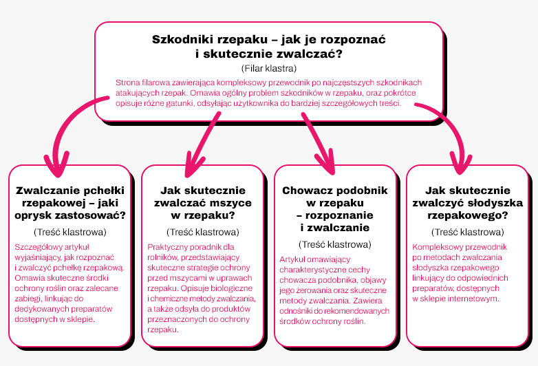 Przykładowy klaster tematyczny